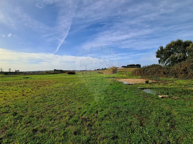 Terreno para Venda em Ereira e Lapa Foto 5