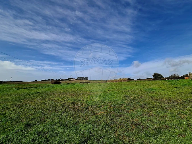 Terreno para Venda em Ereira e Lapa Foto 7