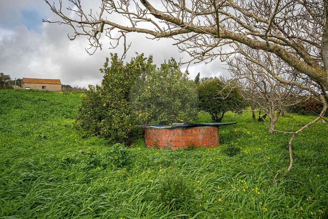 Moradia T1 para Venda em Alhandra, São João dos Montes e Calhandriz Foto 4