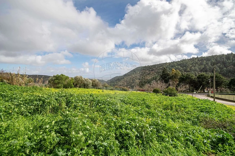 Moradia T1 para Venda em Alhandra, São João dos Montes e Calhandriz Foto 9