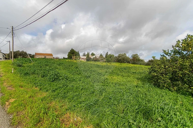 Moradia T1 para Venda em Alhandra, São João dos Montes e Calhandriz Foto 3