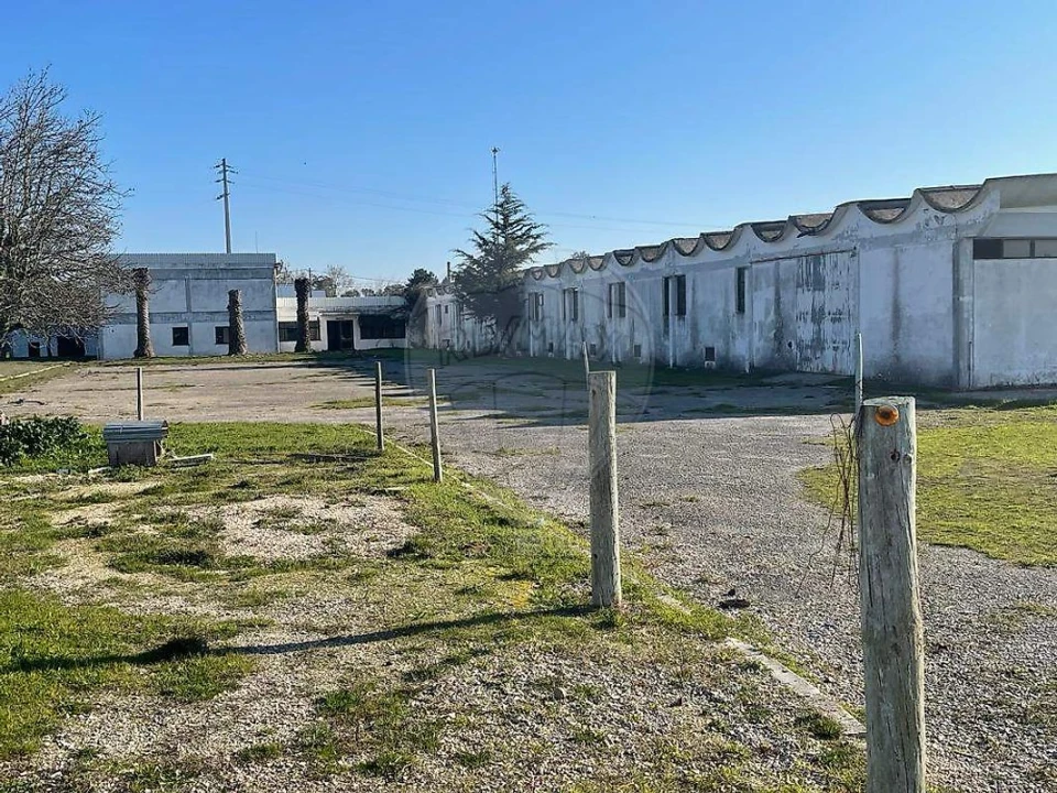 Armazém para Arrendamento em Alenquer (Santo Estêvão e Triana) Foto 3
