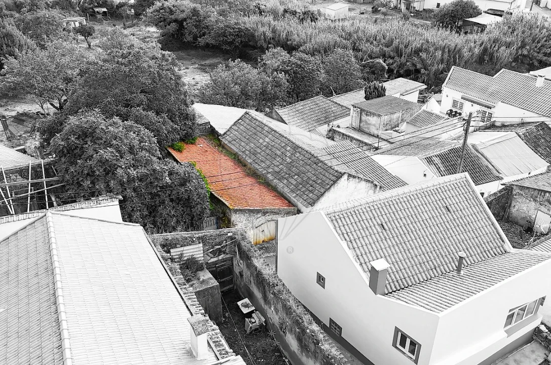 Armazém para Venda em Ribafria e Pereiro de Palhacana Foto 3