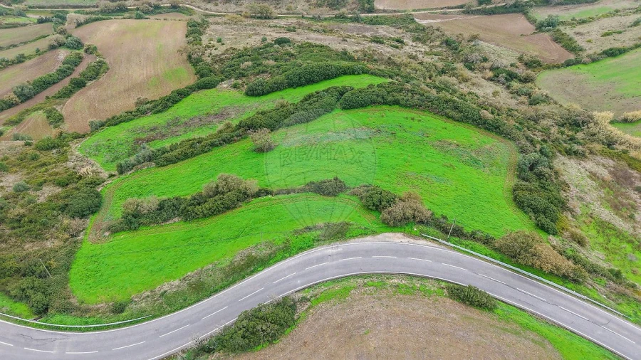 Terreno para Venda em Arranho