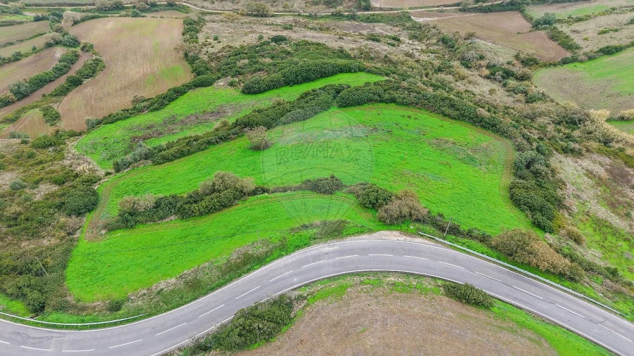 Terreno para Venda em Arranho