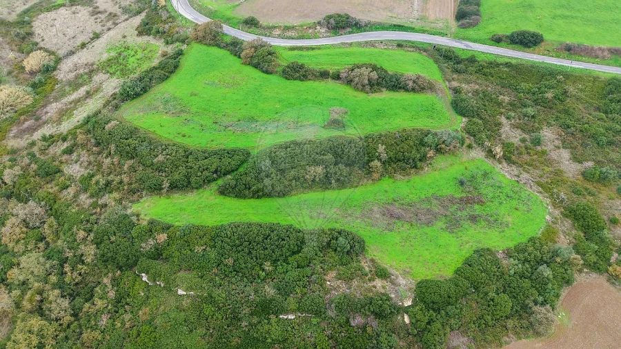 Terreno para Venda em Arranho