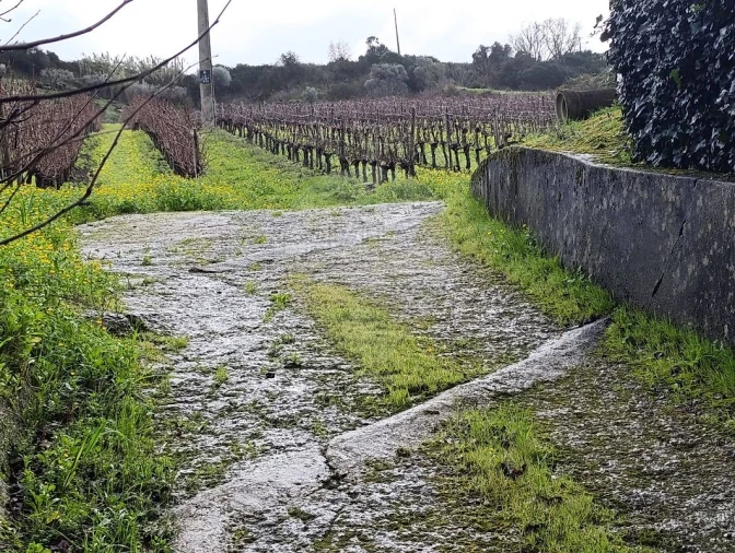 Terreno para Venda em Castanheira do Ribatejo e Cachoeiras Foto 5