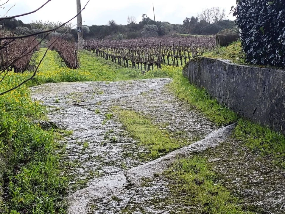 Terreno para Venda em Castanheira do Ribatejo e Cachoeiras Foto 5