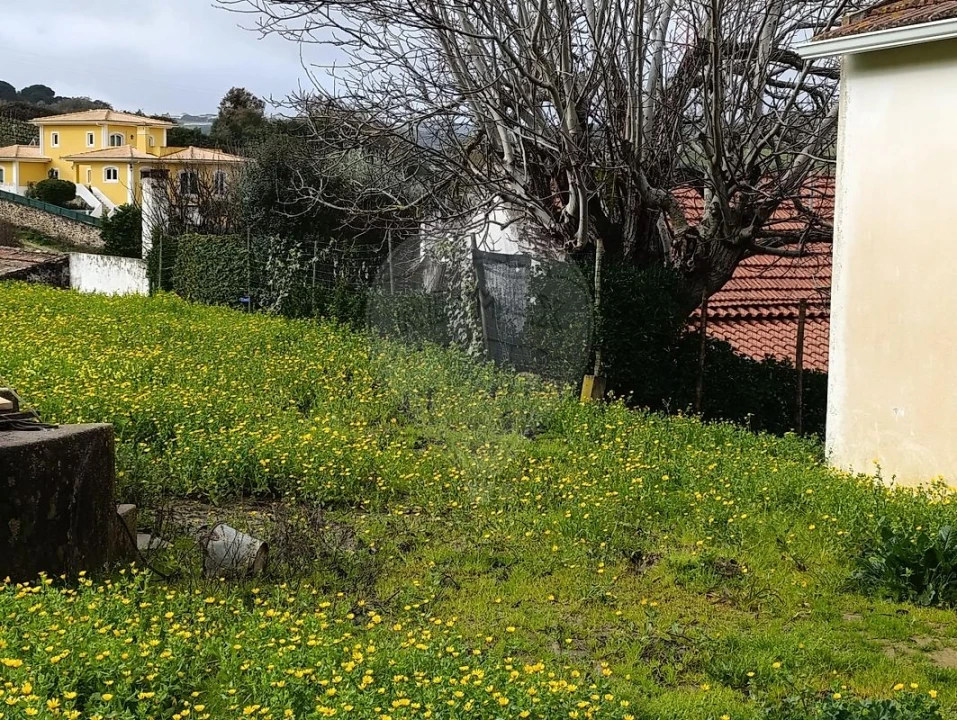 Terreno para Venda em Castanheira do Ribatejo e Cachoeiras Foto 3