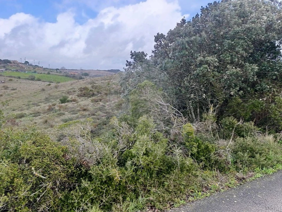 Terreno para Venda em Alhandra, São João dos Montes e Calhandriz Foto 2