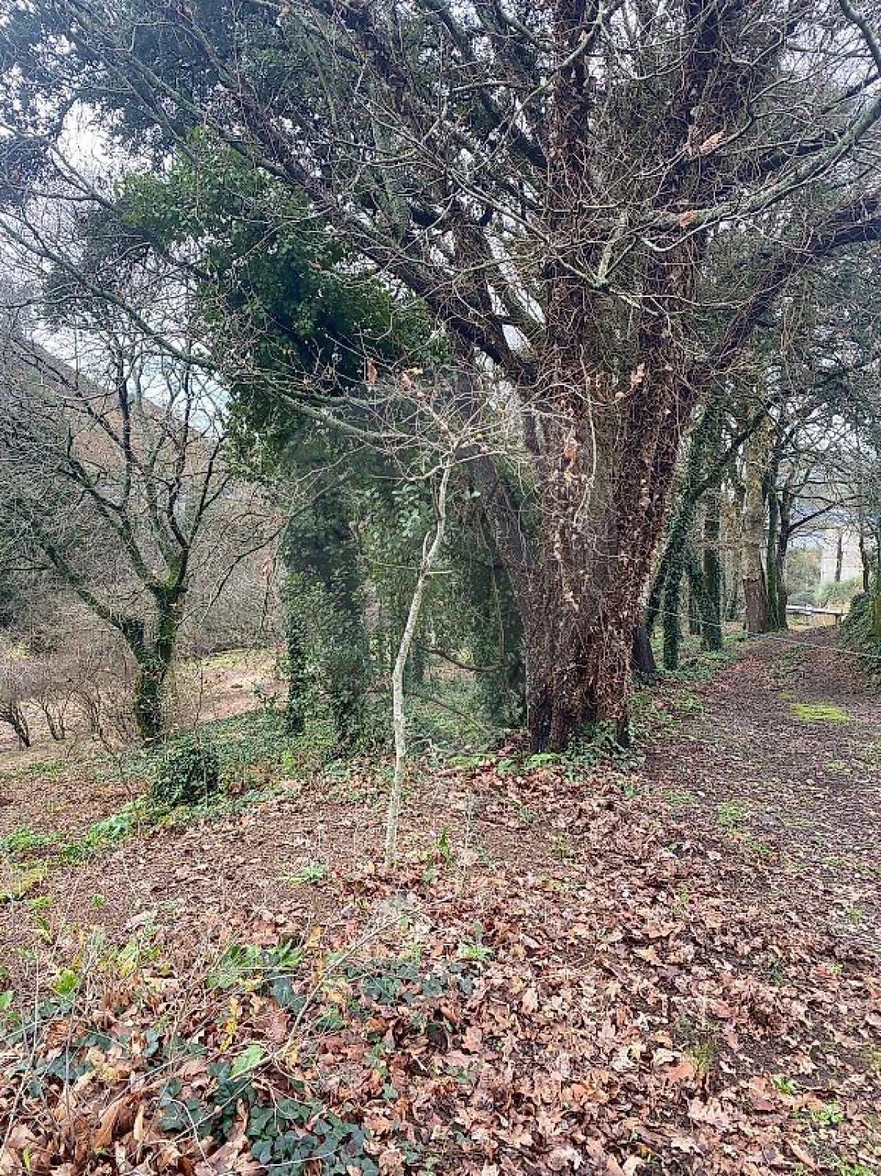 Terreno para Venda em Sandim, Olival, Lever e Crestuma Foto 1