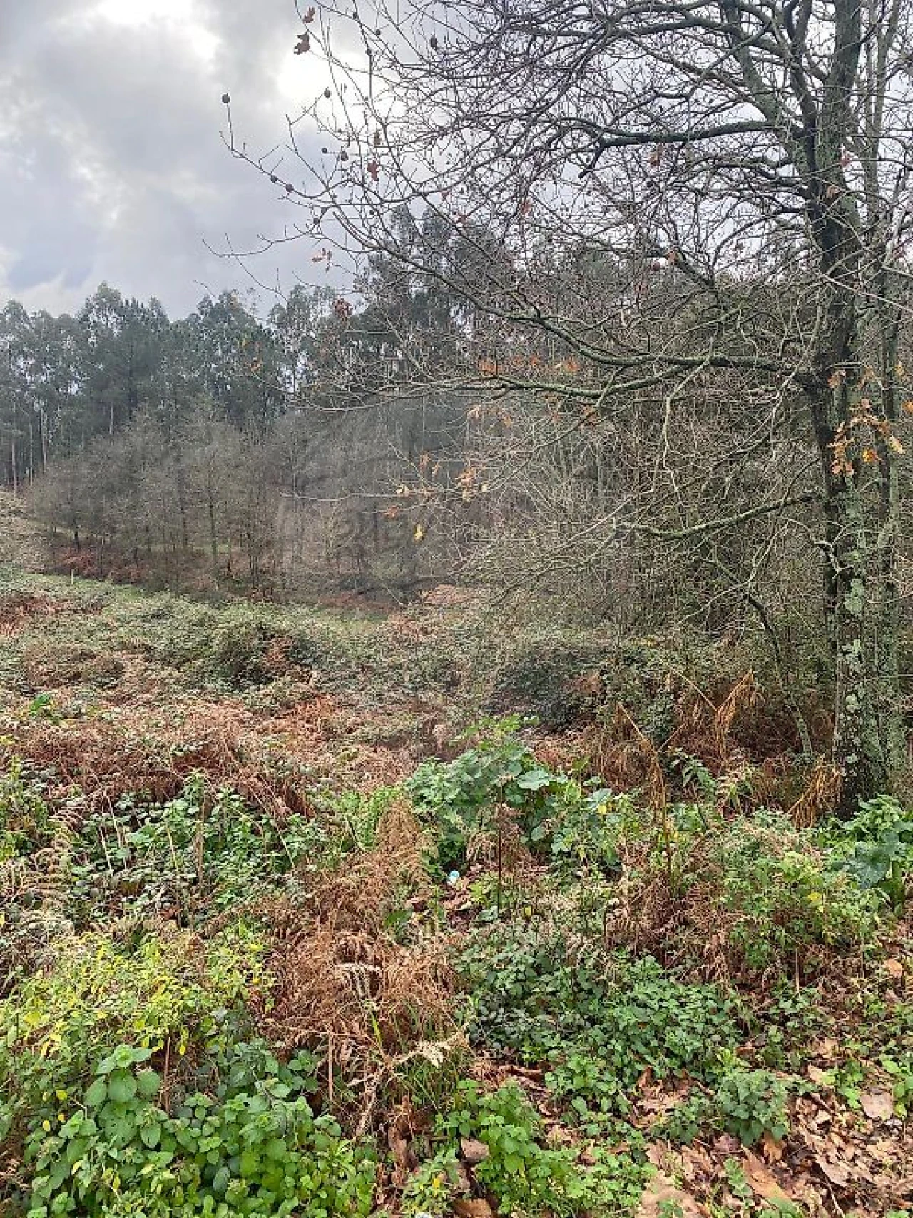 Terreno para Venda em Sandim, Olival, Lever e Crestuma Foto 3