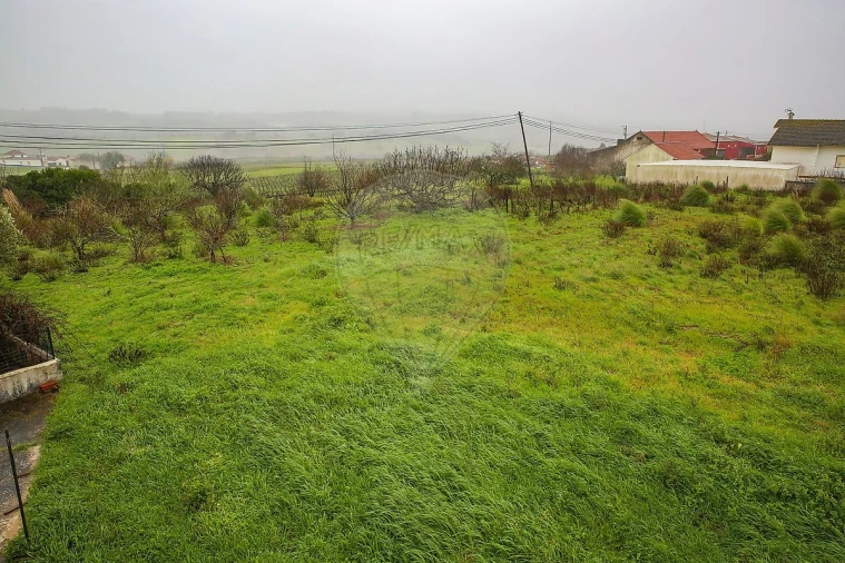 Moradia T3 para Venda em Ventosa Foto 30