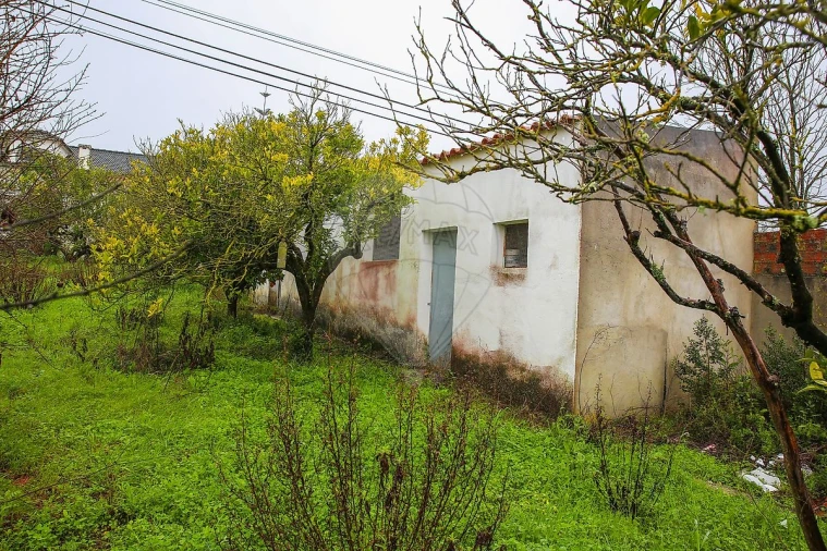 Moradia T3 para Venda em Ventosa Foto 42