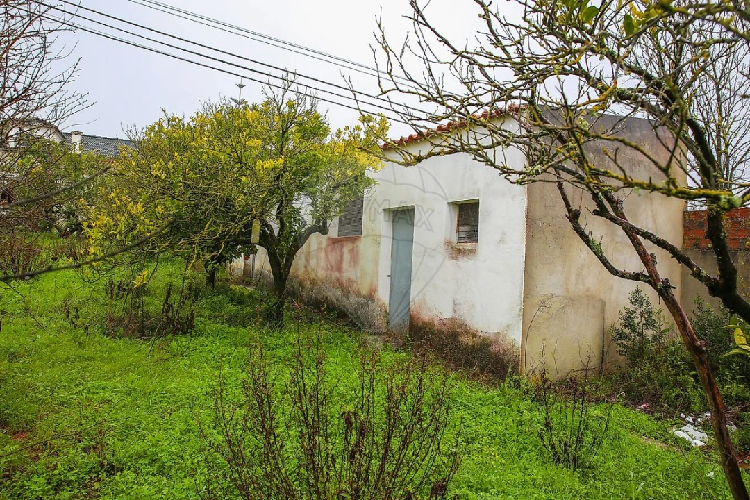 Moradia T3 para Venda em Ventosa Foto 42