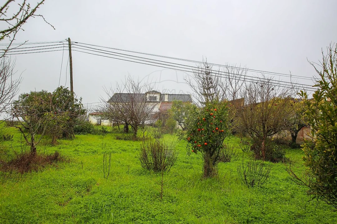 Moradia T3 para Venda em Ventosa Foto 40