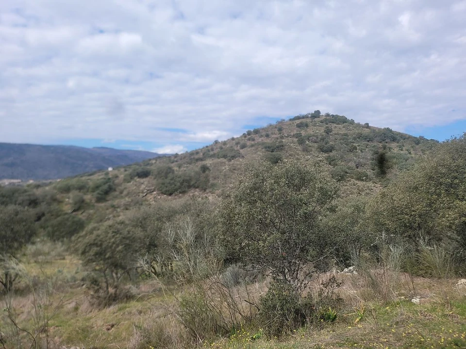 Terreno para Venda em Torre de Moncorvo Foto 13