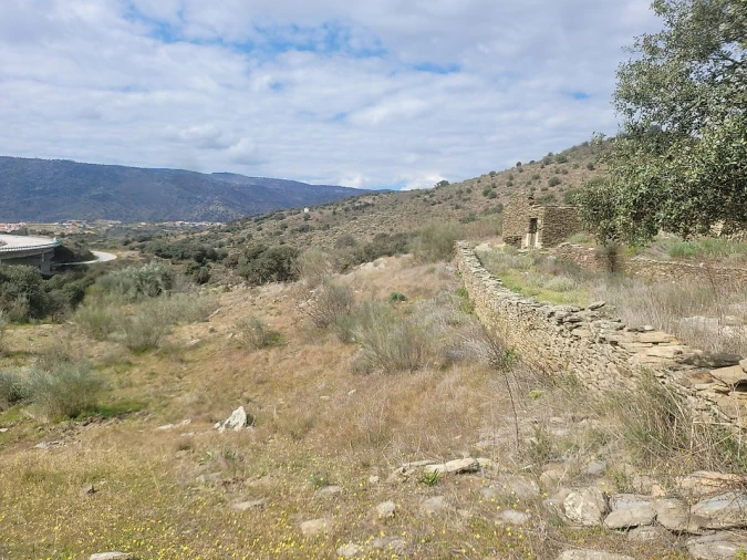 Terreno para Venda em Torre de Moncorvo Foto 16