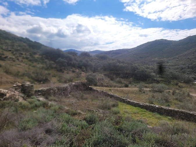 Terreno para Venda em Torre de Moncorvo Foto 14