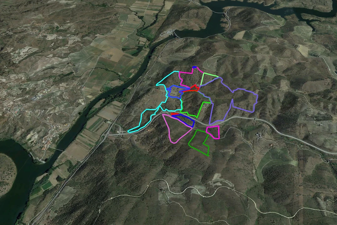Terreno para Venda em Torre de Moncorvo Foto 19