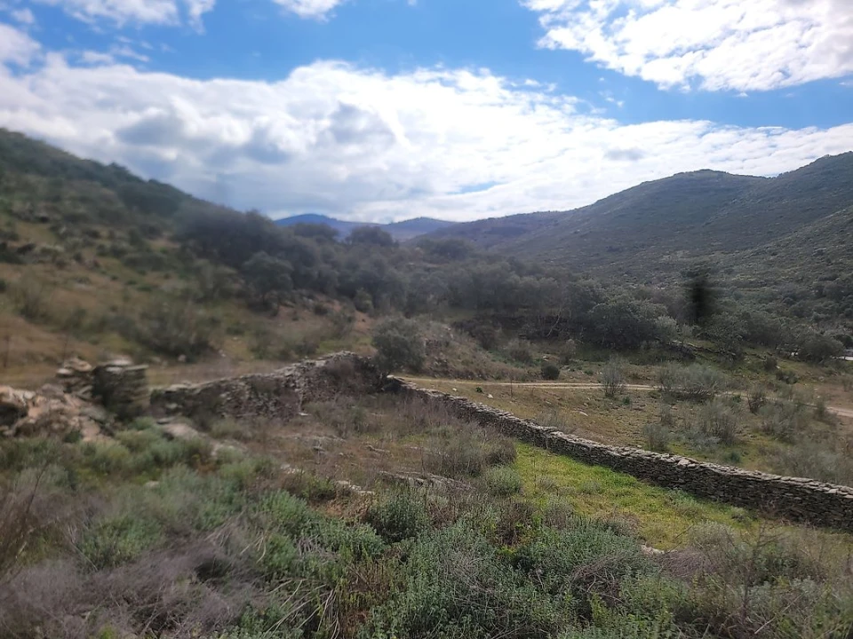 Terreno para Venda em Torre de Moncorvo Foto 14