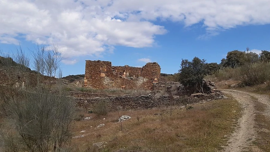 Terreno para Venda em Torre de Moncorvo
