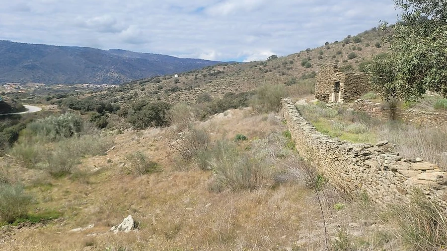 Terreno para Venda em Torre de Moncorvo
