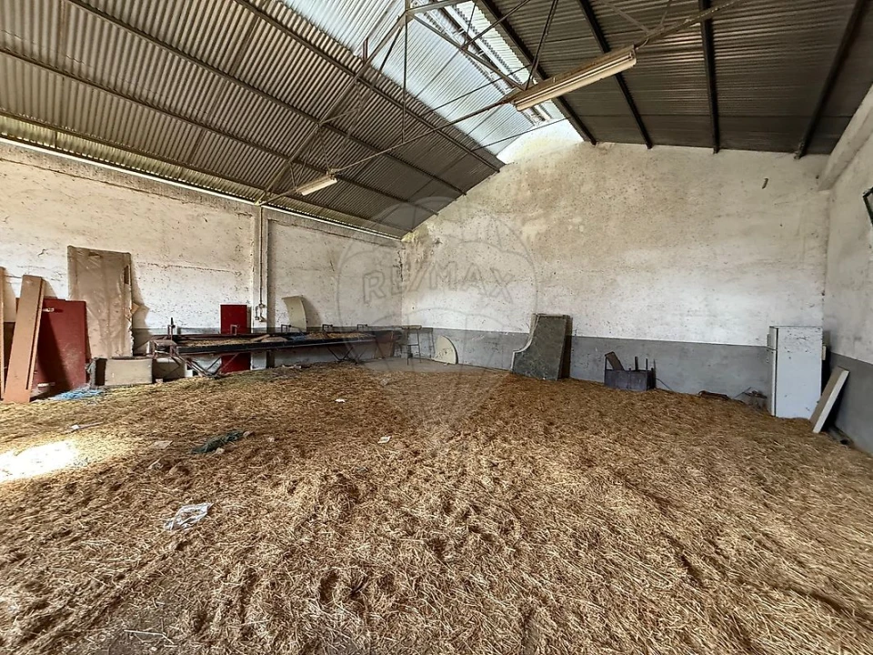 Terreno para Venda em Telhado Foto 24