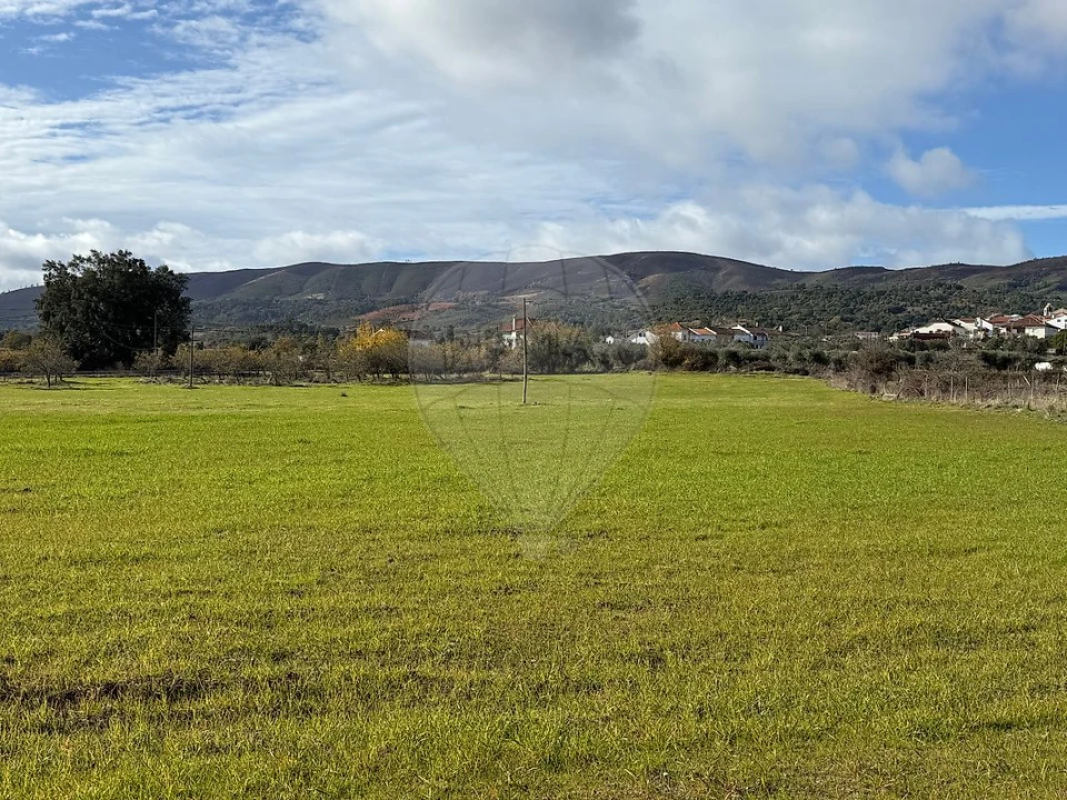 Terreno para Venda em Telhado Foto 5