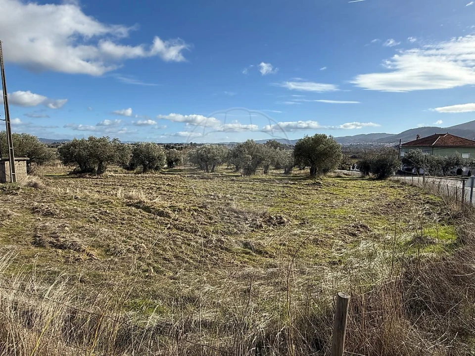 Terreno para Venda em Telhado Foto 16