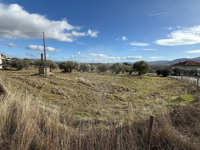 Terreno para Venda em Telhado Foto 17
