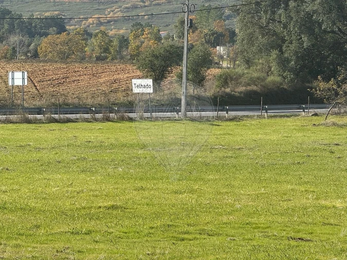 Terreno para Venda em Telhado Foto 3