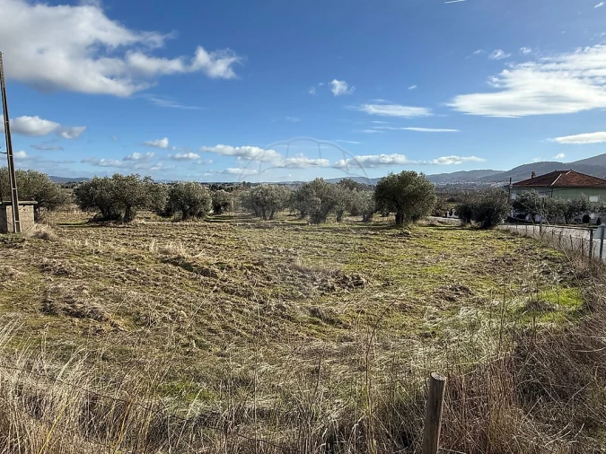 Terreno para Venda em Telhado Foto 16