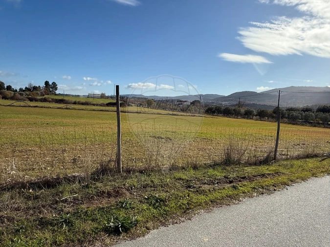 Terreno para Venda em Telhado Foto 8