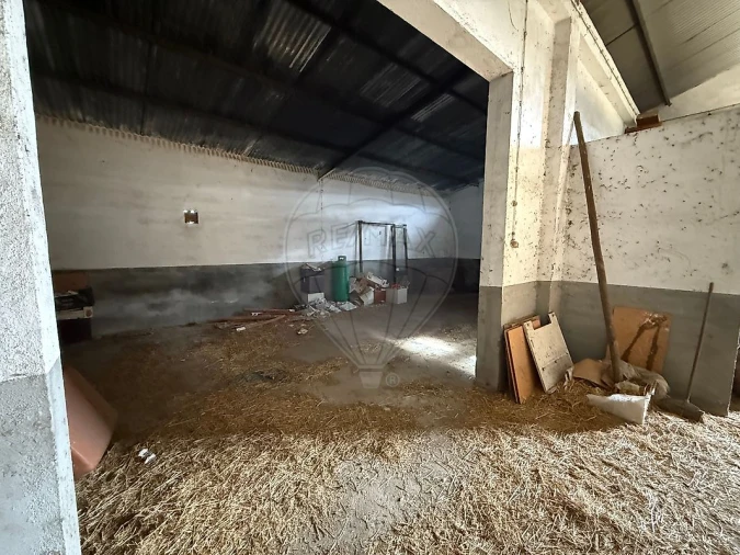 Terreno para Venda em Telhado Foto 23