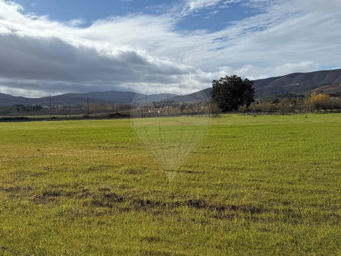 Terreno para Venda em Telhado Foto 6