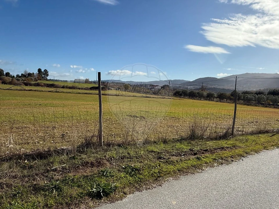Terreno para Venda em Telhado Foto 8