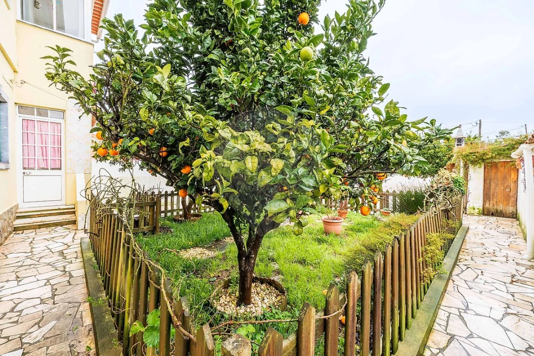 Moradia T4 para Venda em Algueirão-Mem Martins Foto 38