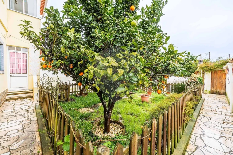 Moradia T4 para Venda em Algueirão-Mem Martins Foto 38