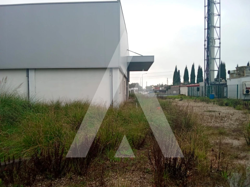 Armazém para Venda em Gafanha da Encarnação Foto 3