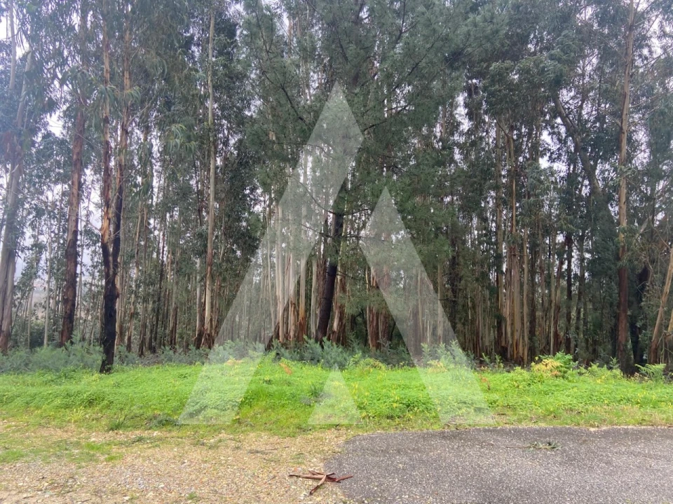Terreno para Venda em Sangalhos Foto 5