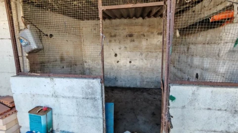 Moradia T6 para Venda em Golegã