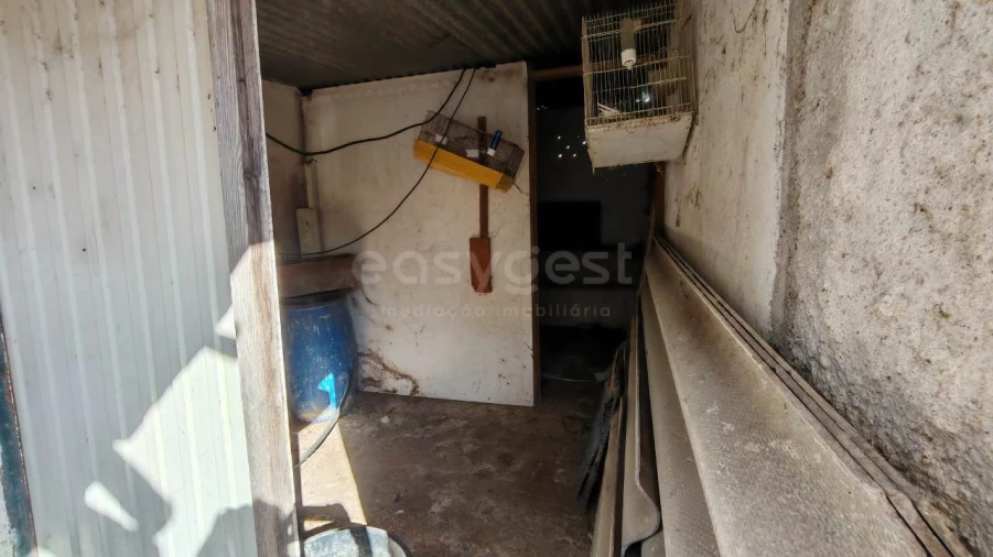 Moradia T6 para Venda em Golegã Foto 31