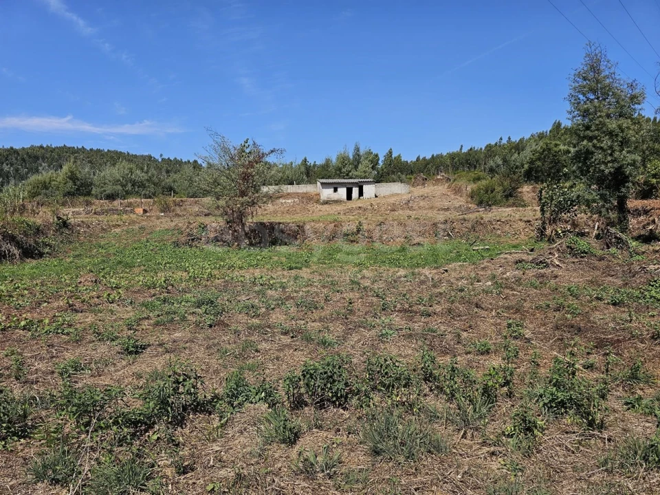 Terreno Agricola ou Rústico para Venda em São Martinho da Cortiça Foto 4