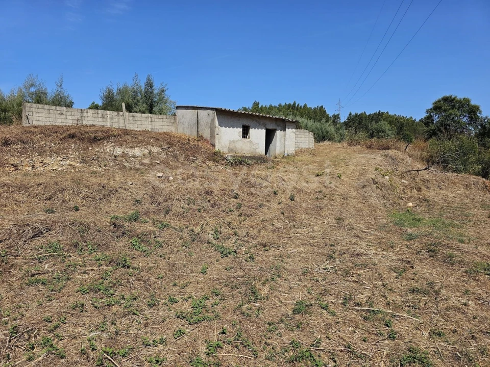 Terreno Agricola ou Rústico para Venda em São Martinho da Cortiça Foto 10