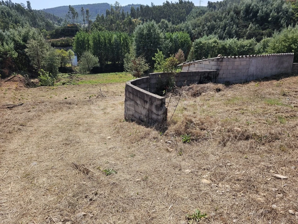 Terreno Agricola ou Rústico para Venda em São Martinho da Cortiça Foto 11