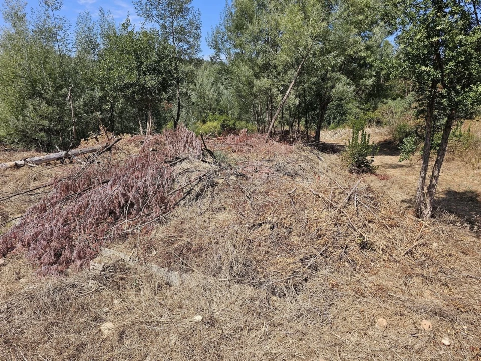 Terreno Agricola ou Rústico para Venda em São Martinho da Cortiça Foto 13