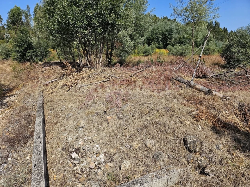 Terreno Agricola ou Rústico para Venda em São Martinho da Cortiça Foto 14