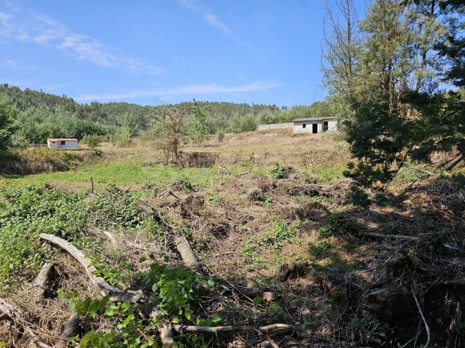 Terreno Agricola ou Rústico para Venda em São Martinho da Cortiça Foto 5