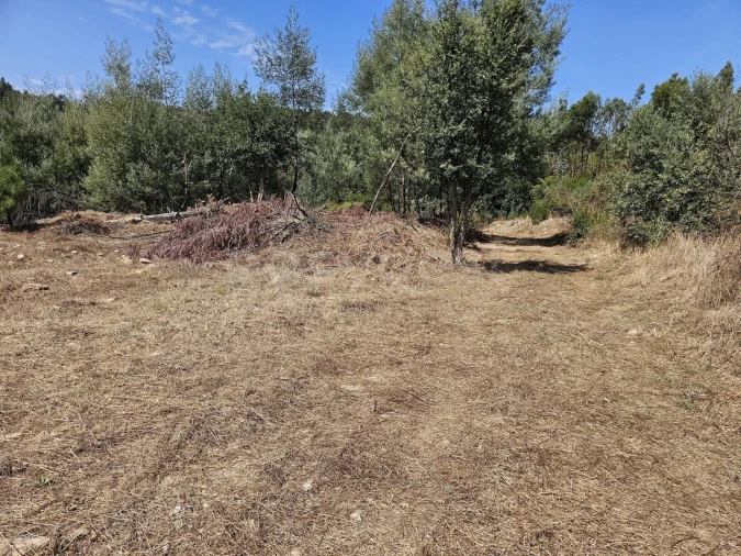 Terreno Agricola ou Rústico para Venda em São Martinho da Cortiça Foto 12